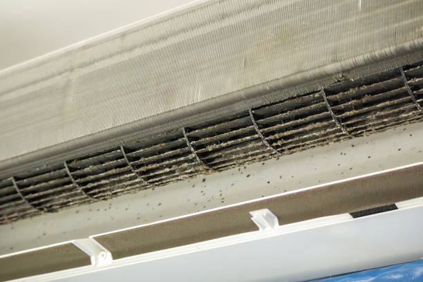 Best HVAC Duct Inspection Services  in Hamburg, NJ